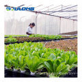 Hydroponic seeding growing system greenhouse